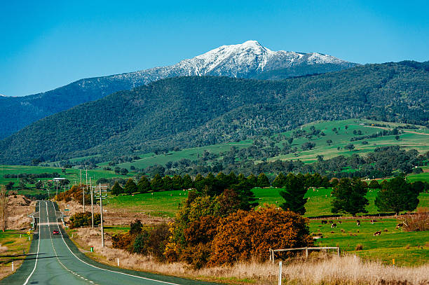 mt buller ski lodge